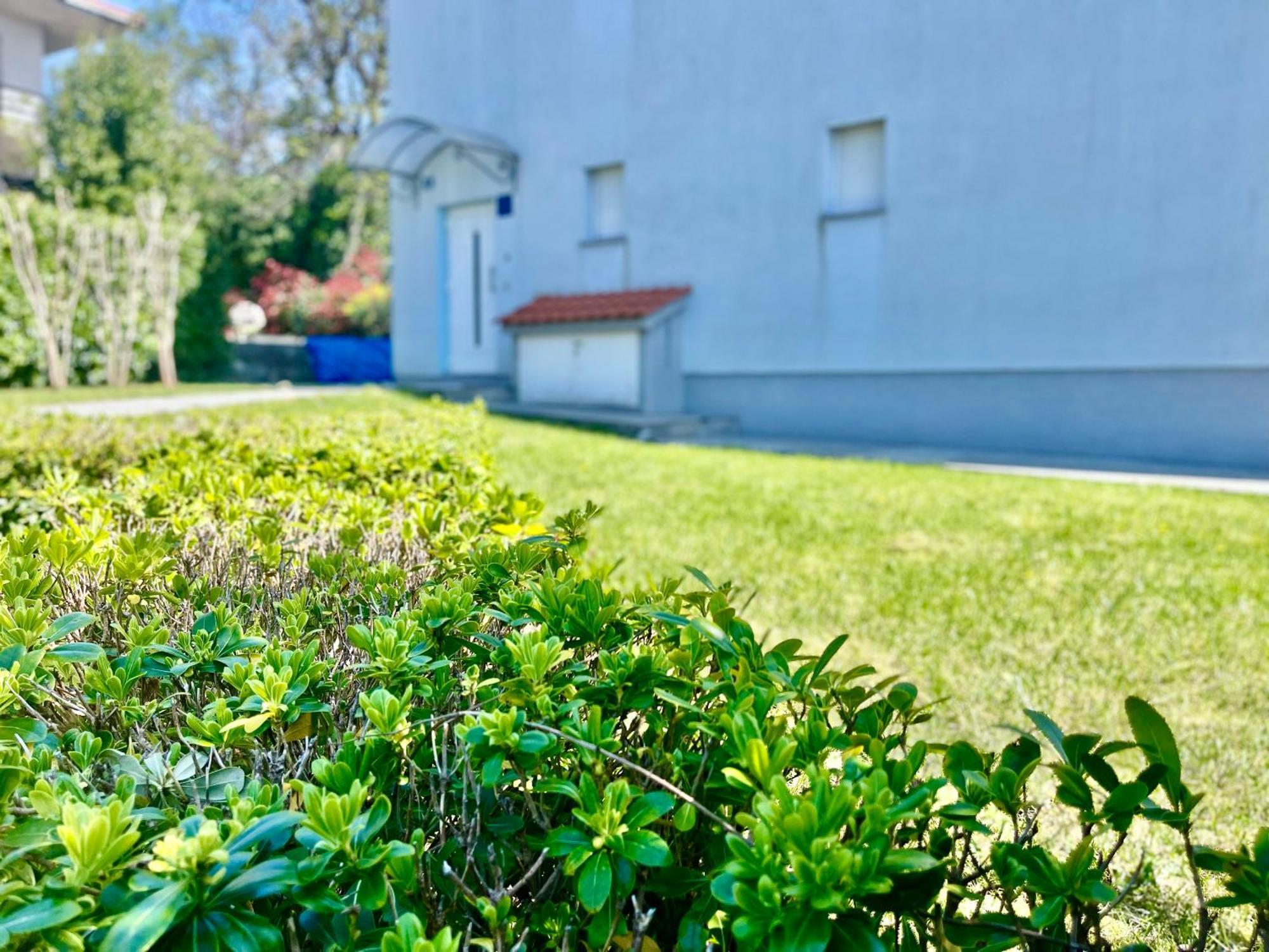 Apartments - Villa Sidro Jadranovo Zewnętrze zdjęcie